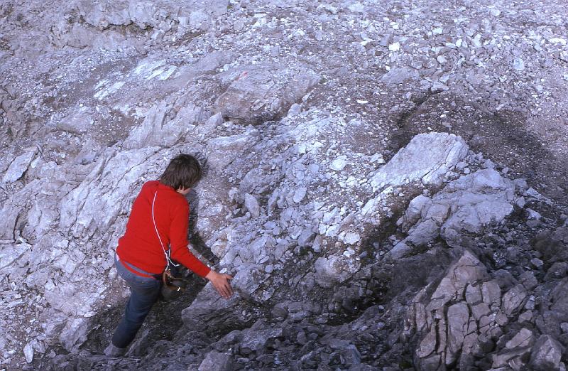 boden (106).JPG - EPSON MFP image